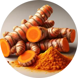 Turmeric (Curcuma longa)